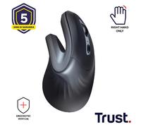 VERRO ERGONOMIC MOUSE WIRELESS