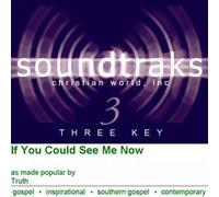 Truth - Karaoke: If You Could See Me No