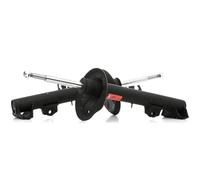 TRW Coppia Ammortizzatori Anteriori JGM1245T per BMW Z3 2.0 (KW 110) 1999-2003