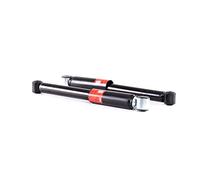 TRW 2x Ammortizzatore Posteriore A pressione del gas Compatibilità con CITROËN C3 I Hatchback FC, FN ammortizzatori JGT274T