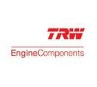 TRW Engine Component 81-11121 Guida valvola per BMW,CITROËN,DS,FORD,MINI,PEUGEOT