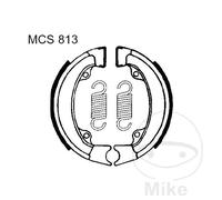TRW Ganasce Freno con Molle MCS813