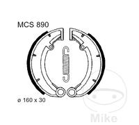 TRW Ganasce Freno con Molle MCS890
