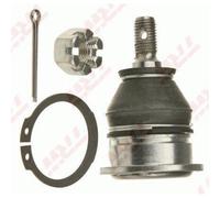 TRW Giunto Sferico Anteriore Superiore Per Honda Civic VI Hatchback CR-V II MG