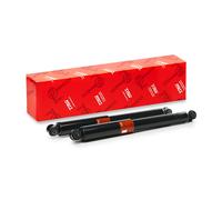 TRW Ammortizzatore JGE205T Posteriore a pressione del gas 2x
