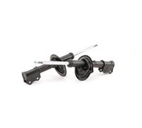 TRW JGM1151T Ammortizzatore