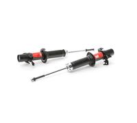 2 x TRW JGM566T Ammortizzatore per HONDA,ROVER