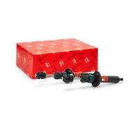 2x Ammortizzatore Assale anteriore Spina superiore JGS164T TRW per RENAULT