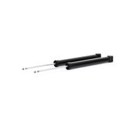 TRW JGT1078T Ammortizzatore