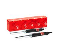 TRW Ammortizzatore posteriore JGT1108T per BMW E81/E87/E90/E91/E92/E93 - 2 pezzi