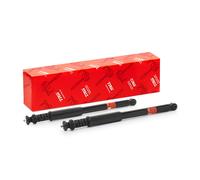 2x Ammortizzatore Spina superiore JGT1340T TRW per DACIA RENAULT