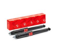 TRW Ammortizzatore JGT232T Posteriore a pressione del gas Spina superiore 2x