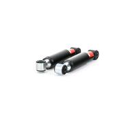 2x RIDEX 854S1362 Ammortizzatore Posteriore A pressione del gas Ammortizzatori