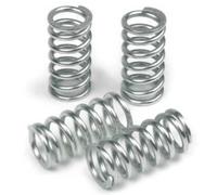 Trw Mef306-6 Clutch Spring Kit Argento