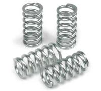 Set di molle frizione TRW MEF341-6