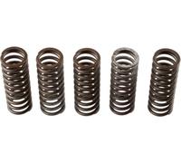 Set di molle frizione TRW MEF308-6