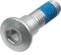 TRW Set di viti MSS132-4 per freno a disco