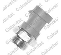 TS1090 CALORSTAT by Vernet Termocontatto, Ventola radiatore per CITROËN,FIAT,LAN