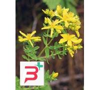 TSA HIPERICUM PERFORATUM 50 ML
