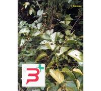 TSA UNCARIA TOMENTOSA 50 ML