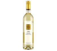 Tschida Muskat Ottonel Auslese Burgenland Prädikatswein 2024 0,75 ℓ