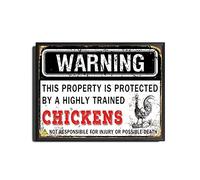 TSEZLOJH Targa in metallo con scritta "This Property is Protected by A Highly Trained Chick", 30,5 x 40,6 cm, con cornice in metallo