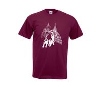 Tshirt TORO con Mole Antonelliana Superga tifoso Torino 100% cotone granata bull