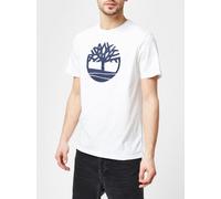 tshirt uomo TIMBERLAND kennebec river tree logo tshirt WHITE S scelta=P WHITE A