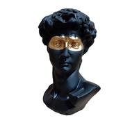 TSKIQQLQ Statuetta da collezione Statua greca con testa di David, classica e moderna, semplice, in resina nera Decorazione per appartamenti
