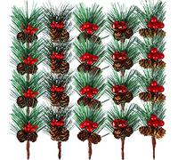 TSLBW Picchi Di Pino Artificiale 20 Pz Piccolo Rami Con Bacche Per Arrangiamenti Di Fiori Di Natale Corone Alberi E Regalo Fai Da Te Decorazione