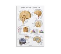 TSNKNP Brain Anatomy, poster decorativo da parete, per soggiorno, camera da letto, decorazione moderna per camera da letto, 20 x 30 cm
