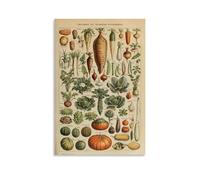 TSNKNP Poster vintage Larousse Vegetables, decorazione da parete, per soggiorno, camera da letto, decorazione moderna per camera da letto, 30 x 45 cm