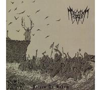 Tsorer - Return to Sodom