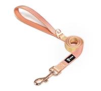 TSPRO Guinzaglio per Cani Leggero, Colore Gradiente Guinzaglio Cane con Maniglia Morbida e Fibbia Metallica, per Cani di Piccola e Media Taglia (Arancione Giallo)