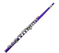 TSTS Flauto Chiave C A 16 Fori Chiave E Flauto A Foro Chiuso Colore Blu Viola Ciano Flauto Studente Principiante Che Suona Uno Strumento Musicale (Color : Purple)