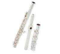 TSTS Flauto Strumento per Flauto Bocchino in Argento Apertura A 17 Fori Chiavi Francesi con Coda B. Esame Generale Professionale (Color : 25)