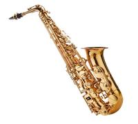 TSTS Kit per Sassofono Sassofono Contralto in Rame Speciale per L'esame delle Prestazioni dei Principianti Adulti