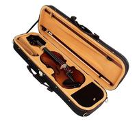 TSTS Professionisti Violino 4/4 Violino Semi-Fatto A Mano Pannello in Abete Rosso Essiccato Naturalmente Piroli in Acero con Retro in Ebano Intarsiato