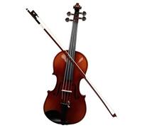 TSTS Professionisti Violino Kit di Violino in Legno di Abete Rosso Acustico Semi-Fatto A Mano per Violino 4/4 con Arco per Custodia per Strumenti per Principianti (Color : Semi-Handmade Print)