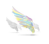 Tsubasa Wo Motsu Mono -Not An Angel Just A Dreamer- - Ost