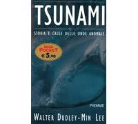 Tsunami. L'onda anomala