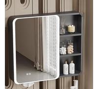 TSYORHSC Armadietto per medicinali con Specchio e luci, armadietto per Bagno con Specchio a LED in Alluminio con Contenitore, Specchio per Il Trucco da Bagno con Contenitore, Sistema di sbrinamento i
