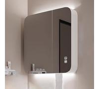 TSYORHSC Specchio da Bagno con Contenitore antiappannamento, retroilluminazione a LED, Specchio per armadietto dei medicinali per Il Bagno, mensola portaoggetti per Specchio da Parete, Contenitore PE