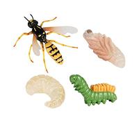TTETTZ 4X Kids Growth Playset Wasp Life Cycle Model Action Toy Figures Learning & Children's Preschool Toys Game Props