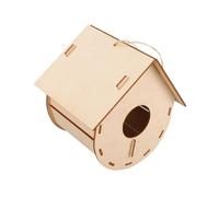 TTETTZ Kit Fai da Te per Esperimenti Scientifici, Modello Didattico per Casetta per Uccelli per Bambini, Bambine E Ragazzi