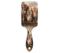 Ttgoth Highland Cows, spazzola per capelli per donne e uomini, antistatica, con cuscinetto d'aria, spazzola districante per capelli ricci, lisci, bagnati o asciutti
