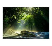 Ttincceer 2.2x1.5m Primavera Foresta Sfondo Sogno Sole Giungla Viaggio Compleanno Fotografia Sfondo Natura Tropicale Paesaggio Foto Banner Outdoor Escursionismo Turismo Studio Shot Props