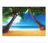 Ttincceer 220x150cm Sfondo Spiaggia Tropicale Enorme Palma Sabbia Spiaggia Fotografia Sfondo Blu Cielo Bianco Nuvole Spiaggia Fotografia Sfondo Photo Booth Studio Oggetti di Scena