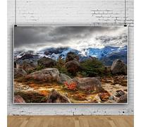 Ttincceer 250x180cm Altopiano Neve Montagna Sfondo Pietra Pianta Paesaggio Naturale Fotografia Sfondo Adulti Bambini Viaggio Tiro Oggetti di Scena Photo Booth Oggetti di Scena