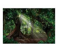 Ttincceer 300x200cm Sfondo Foresta Enorme Albero Antico Mattina Sole Fotografia Sfondo Foresta Tropicale Paesaggio Naturale Fotografia Sfondo Studio Fotografia Oggetti di Scena